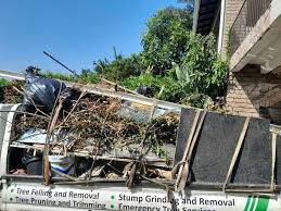 Best Shed Removal  in Willis, TX