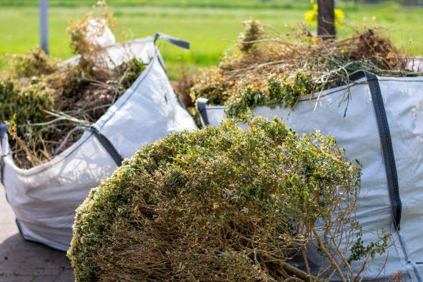 Best Yard Waste Removal  in Willis, TX